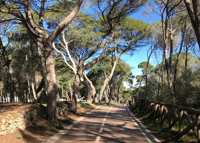 Mar I Sol * L' Escala